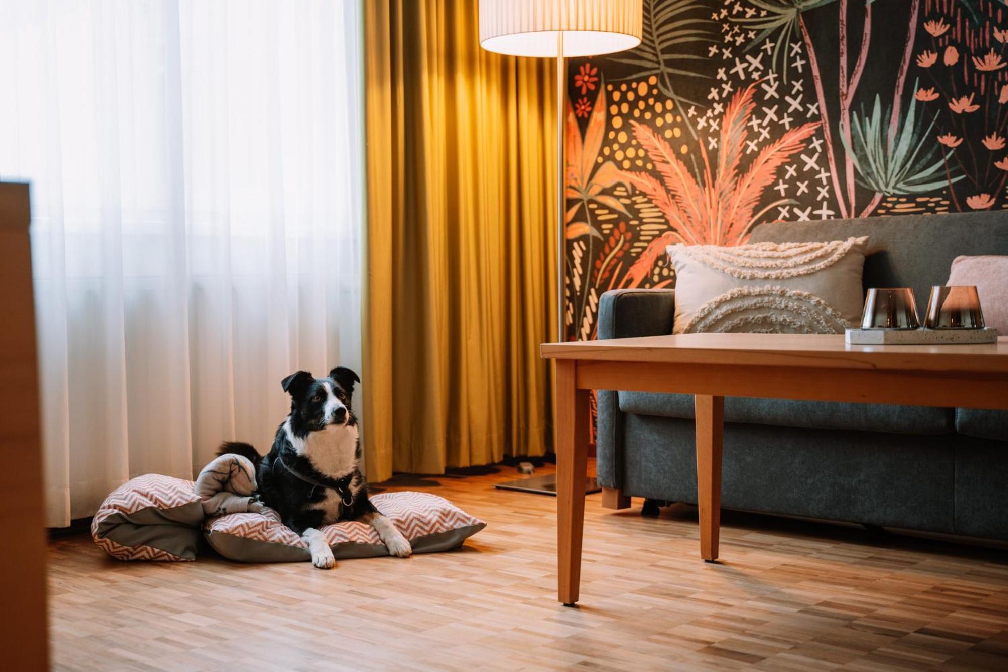 Hotel Auszeit St Lambrecht Sankt Lambrecht Eksteriør bilde